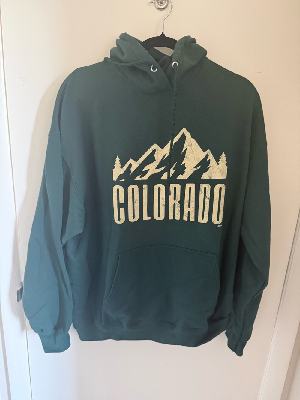 District Green Colorado Mountain Graphic Hoodie